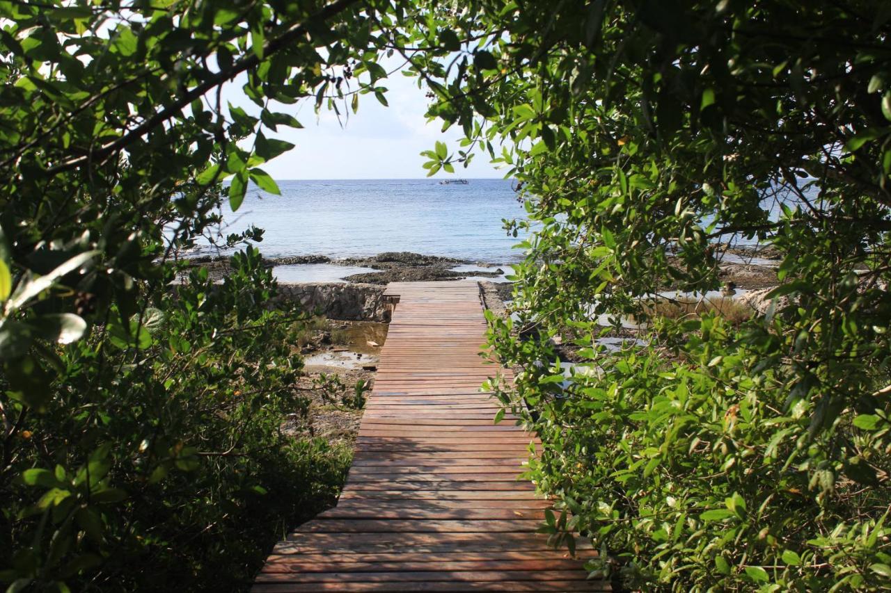 Villa Modern House of Cozumel - 28 -Amazing Sunset Views Exterior foto
